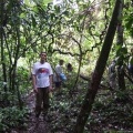 Лианы в джунглях Сукао