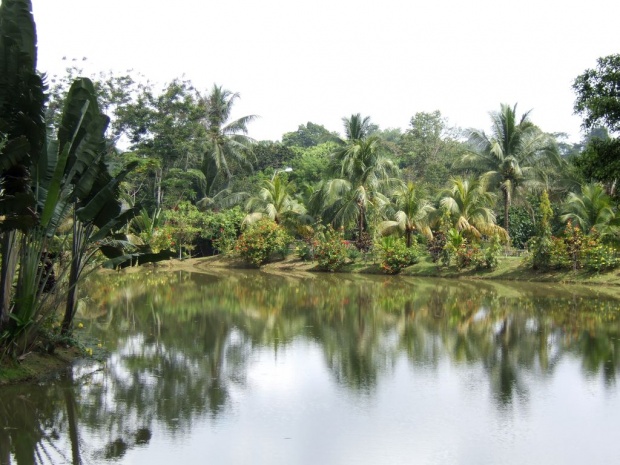 Парк "Sepilok Jungle Resort"