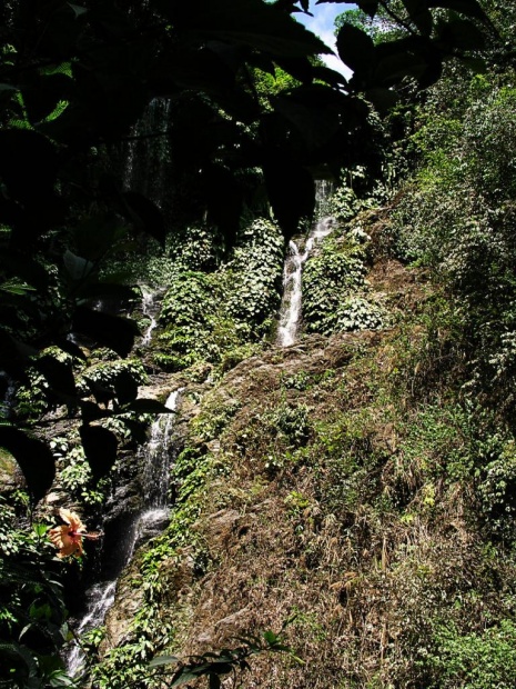 Водопад Tamaraw