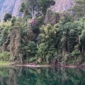 Тропическая растительность на берегах озера