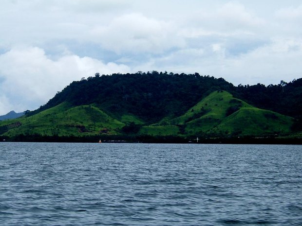 Зеленый остров