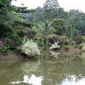 Парк  "Sepilok Jungle Resort"