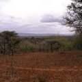Национальный парк Mkuze