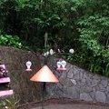 Парк колибри в Монтеверде
