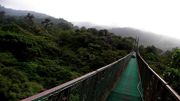 Подвесной мост в облачном лесу Монтеверде