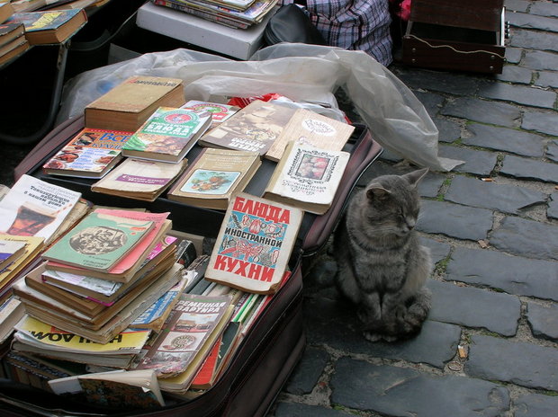 Кот выбрал правильные книги :)