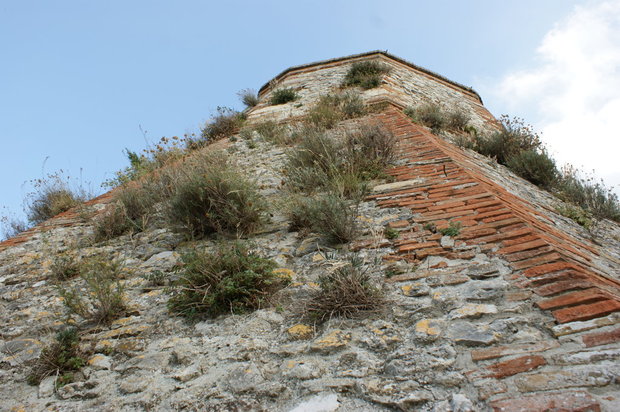 Альпийские растения на стенах крепости