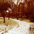 Лондон. Сад Gordon Square в снегу