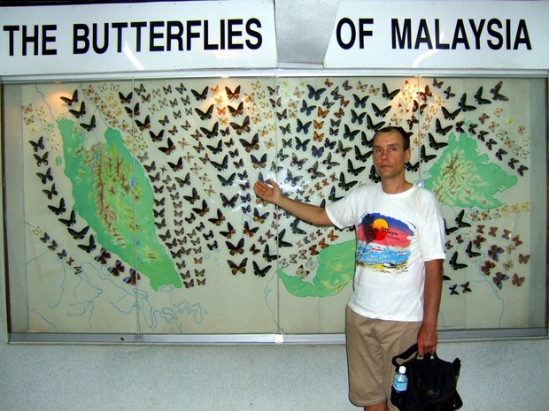 Карта бабочек Малайзии