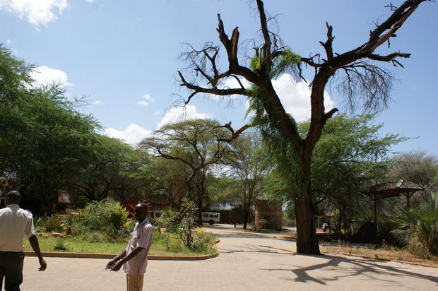 Samburu Game Lodge