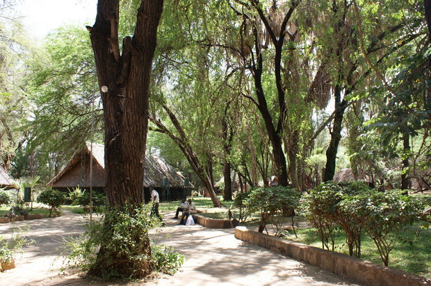 Территория Samburu Game Lodge