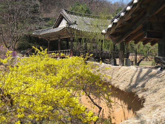 весна в Сеуле