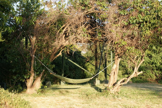 Гамак в Ilkeliani Camp