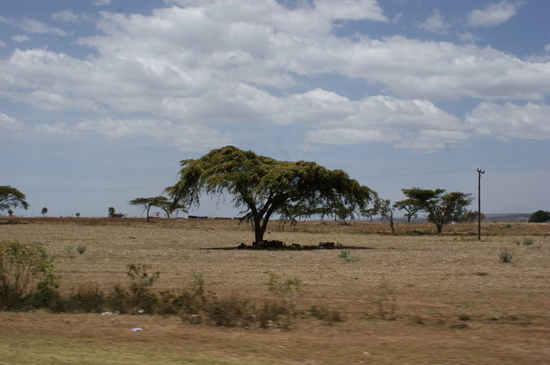 Кенийский пейзаж