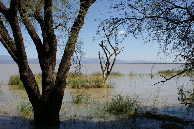 Озеро Баринго