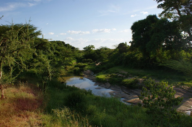 Река на границе кампа 