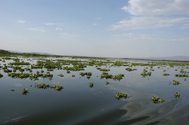 Озеро Наиваша