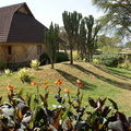 Территория Lake Naivasha Sawela Lodge