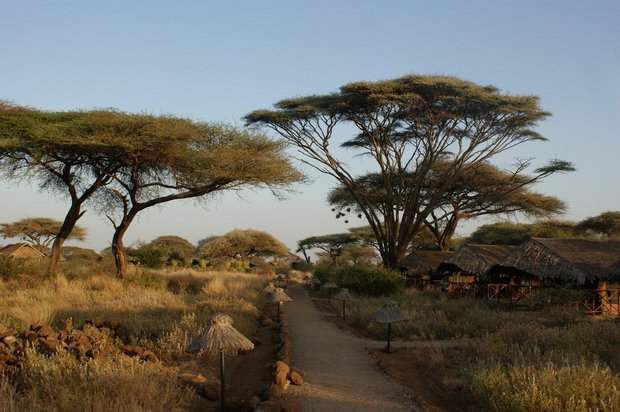 Африка, Kibo Safari Camp