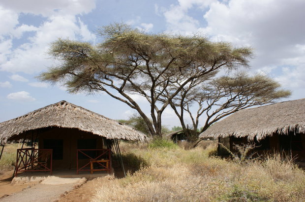 Кения, Африка, Амбосели, Kibo Safari Camp