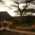 Кения, Kibo Safari Camp