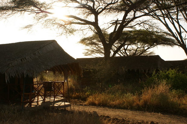 Кения, Kibo Safari Camp