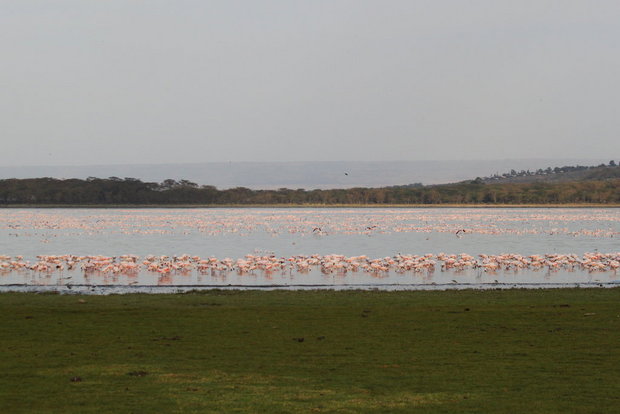 Lake Oloiden, Kenya
