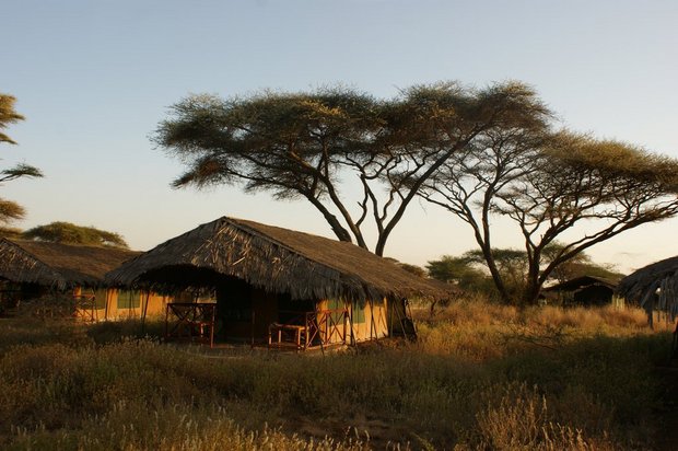 Утро в Кения Kibo Safari Camp