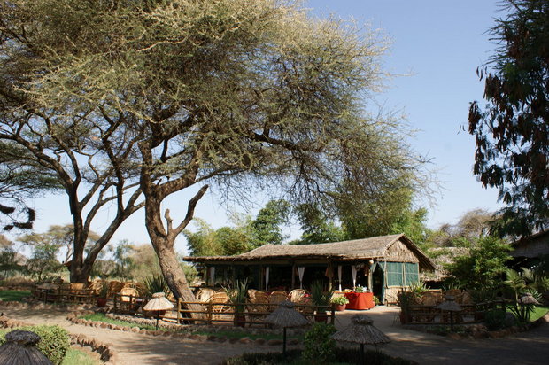 Бар в Kibo Safari Camp