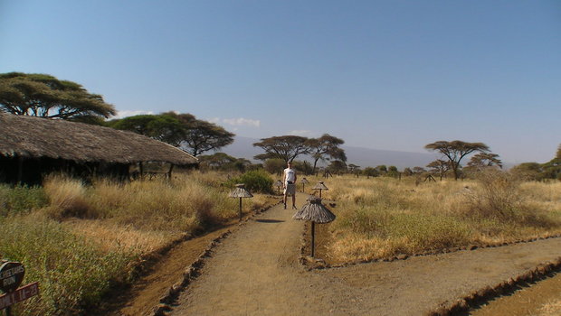 Территория Kibo Safari Camp