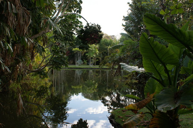 Ботанический сад Памплемус