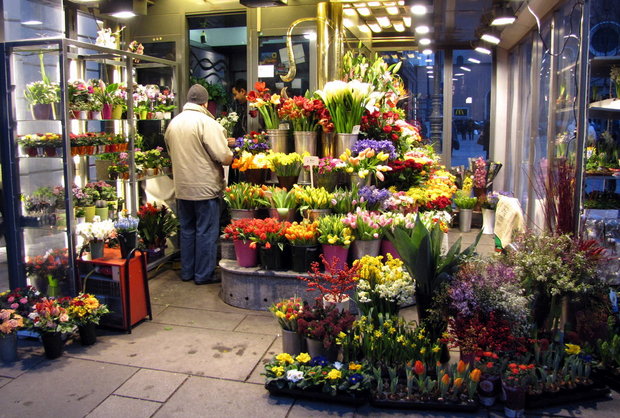 Цветы в Вене