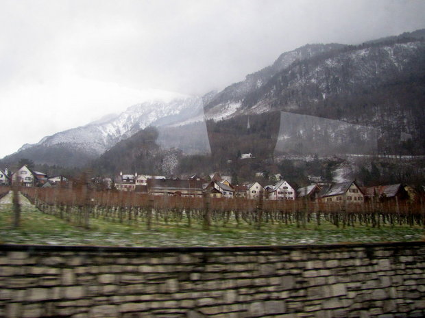 Виноградники Лихтенштейна
