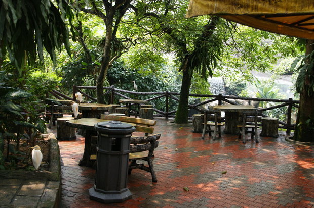 Кафе в Парке птиц в Куало-Лумпуре