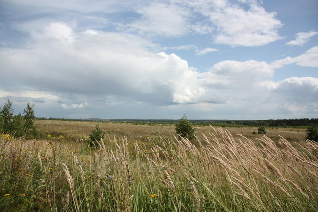 Рязанские поля