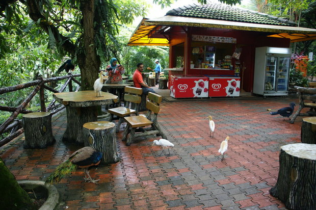 Кафе в Парке птиц