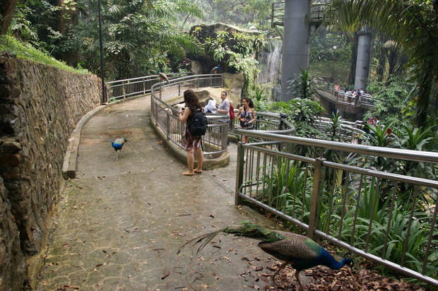 Парк птиц в Куала-Лумпуре