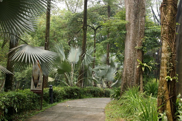 Территория Парка птиц в Малайзии