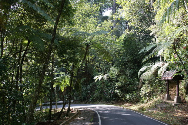 Дороги Кинабалу-парка