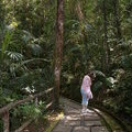 Дорожки ботанического сада на Кинабалу