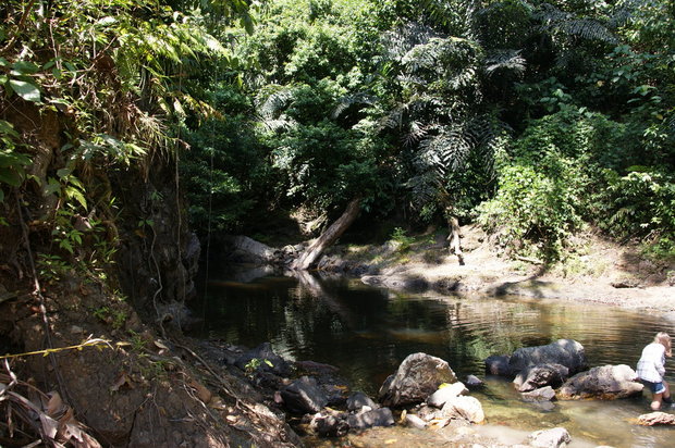 Река в джунглях Борнео