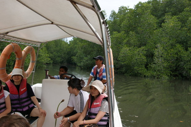 Экскурсия по мангровым зарослям