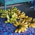 Маленькие бананчики