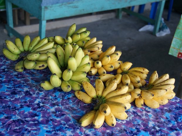 Маленькие бананчики