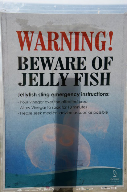 Предупреждение о медузах
