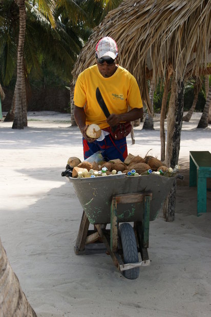 Продавец кокосов