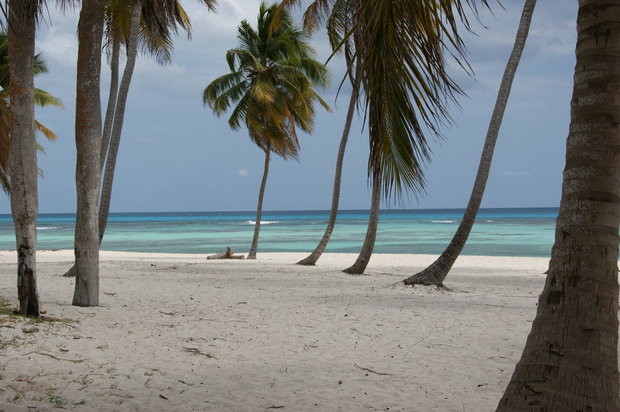 Остров Canto De La Playa