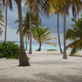 Пальмы острова Canto De La Playa
