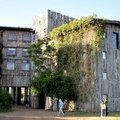Кения. Отель  Treetops