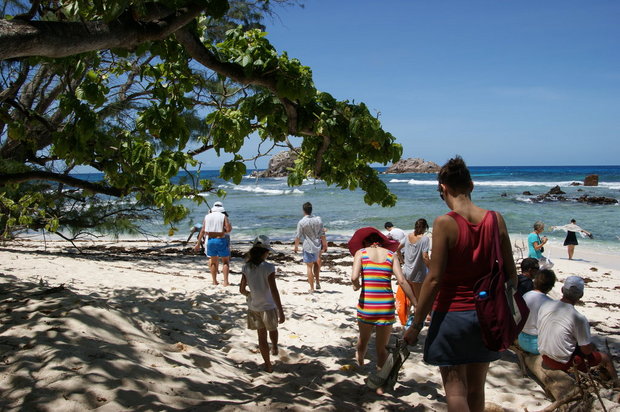 Туристы выходят на берег